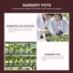 thumbnail image 2 of 36 macetas para plantas, cestas de frutas, macetas para jardín, macetas transparentes para vivero, recipientes de plástico., 2 of 6