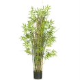thumbnail image 1 of Plante en Soie d'Herbe de Bambou de 5 Pi, 1 of 1