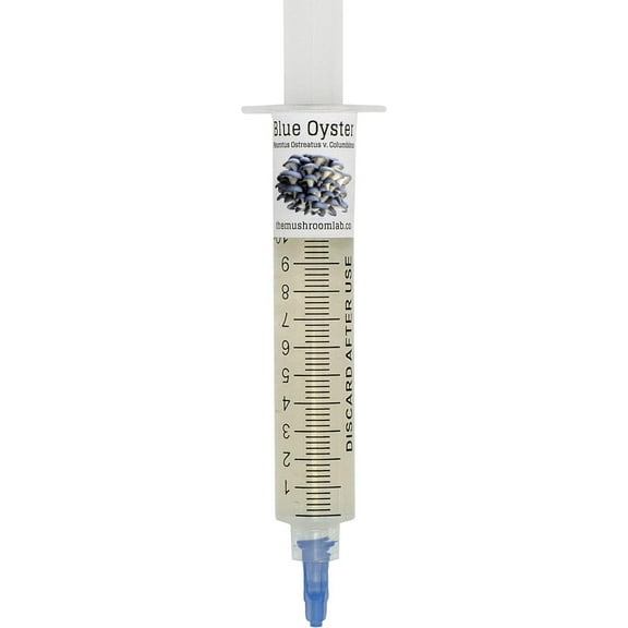 Mushroom Liquid Culture - Blue Oyster (Pleurotus ostreatus)