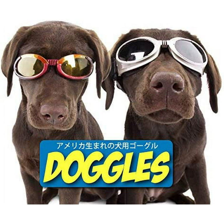 Doggles goggles 2024