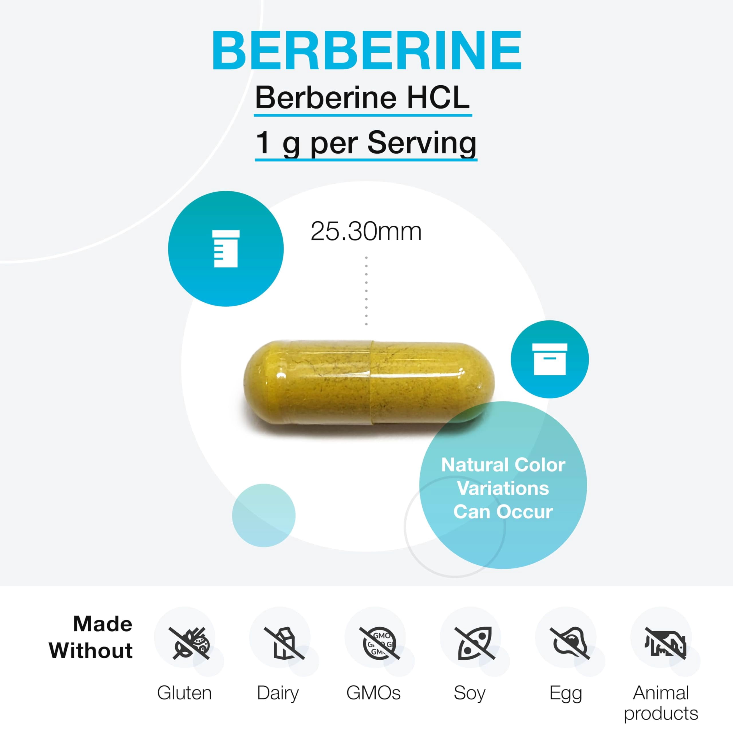 XYMOGEN Berberine Supplement - Metabolism + Immune Support Supplement - HCL Supplement for Low Stomach Acid - Gluten Free + Non-GMO (120 Capsules)
