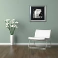 thumbnail image 3 of Trademark Fine Art "Lake Vista III" Canvas Art by Alan Blaustein, Black Matte, Silver Frame, 3 of 4
