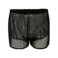 thumbnail image 5 of Zhden Womens Swim Shorts Mesh Sexy See Through Boy Shorts Swimsuit Bottom Beach Swim Cover Up（Black,S）, 5 of 9
