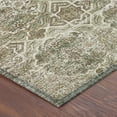 thumbnail image 3 of Addison Rugs Chantille Indoor/Outdoor Traditional Global Olive Machine Washable Rectangle Rug, 10' x 14', 3 of 8