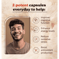 thumbnail image 4 of Better Alt Lions Mane Mushroom Capsules for Mental Clarity | 120 Capsules, 4 of 11
