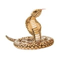thumbnail image 4 of Peluche de serpiente de 94 pulgadas CUTICAT marrón claro, 4 of 8