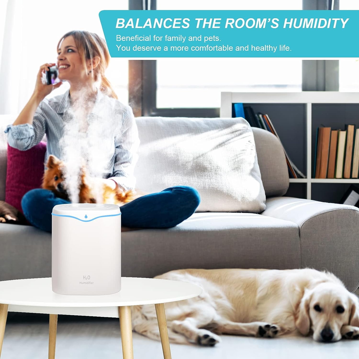 RAPOBRIX 2L Small Cool Mist Humidifier for Bedroom - Portable USB Quiet Ultrasonic with 2 Mist Modes & Colorful Lights