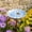 20#Light Blue, variant on Glazed Ceramic Pollinator Waterer with Stake, Floral Insect Bird Feeder Bath, Sturdy Garden Yard Ornament for Hummingbirds Butterflies, Outdoor Patio Backyard Pollinator Station