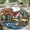 Cottage, variant on Round Rug, Lion1 Soft Washable Carpet, Non-Slip Floor Mat for Living Room Bedroom Home Decor 24 Inch