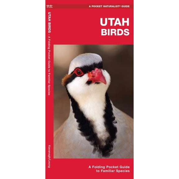 Pocket Naturalist Guides: Utah Birds: A Folding Pocket Guide to Familiar Species (Other)