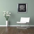 thumbnail image 3 of Trademark Fine Art "Lyon I" Canvas Art by Alan Blaustein, Black Matte, Silver Frame, 3 of 4