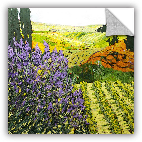 ArtAppealz Allan Friedlander "It's Magic" Removable Wall Art