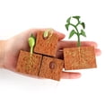 thumbnail image 5 of Figuras de juguete con ciclo de crecimiento de plantas, 4 unidades, para niños, decoración del hogar, 5 of 5