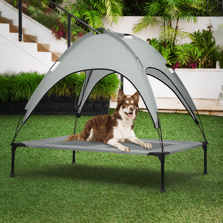 Raised grass bed for dogs sales