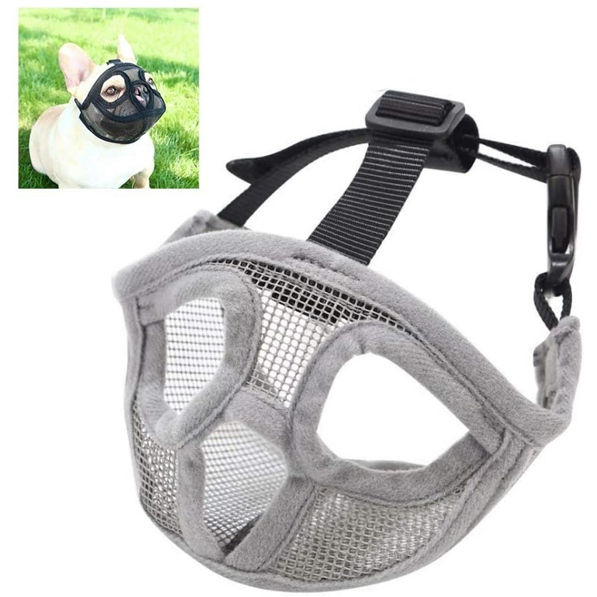 Do Greyhounds Need Muzzles Uk