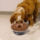 thumbnail image 3 of Stainless Steel Dog Bowl Bowl And DropFeeding Device, 3 of 4