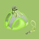 thumbnail image 1 of Walk Your Dog with Comfort & Ease: Adjustable No Pull Dog Harness & Leashes, 1 of 4