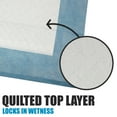 thumbnail image 2 of BV Pet 100 Piece Pet Training Pads for Dog and Puppy, Rapid-Dry Technology 22" x 22", 2 of 6