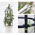 thumbnail image 2 of Ensemble de Support pour Plantes, Pergola de Jardin en Forme de Cage Conique Clarté Remarquable, 2 of 8