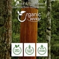 thumbnail image 4 of Organic Way Cinnamon Cassia Sticks (Cinnamomum Cassia) - Adds Flavour & Aroma | Organic & Kosher Certified | Vegan | Raw, Non GMO & Gluten Free | USDA Certified | Origin - India (1 lbs / 16 Oz), 4 of 10