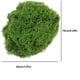 thumbnail image 3 of Moss Imitation Grass Plants Decorativa Lujuriosa Suelo Imitation Plantas De Interior Diy Materiales De Filamento Falso Musgo, Para Escaparate, Para Oficina, 30x20cm,Wsvlmg, 3 of 8