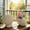 2Pcs Shell Conch Flower Vase Under $5 a1, variant on Tusihei Shell Conch Flower Vase, White Ceramics Craftsmanship Pot, Multi-Purpose Shell Conch Planter Container for Living Room Balcony Garden Yard Decor