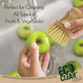 thumbnail image 3 of LOLA Eco-Clean Vegetable Cleaning Brush W/ Bamboo Knob, Eco-Friendly - 1 Count, 3 of 5
