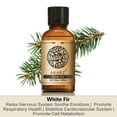 thumbnail image 3 of AKARZ White Fir Essential Oils 1.02 fl.oz./30ml Pure And Naturel Aromatherapy Face Body Skin Care Massage Aroma Perfume Oil, 3 of 7