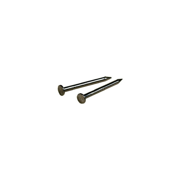 Hillman 122531 Wire Nail, 7/8 in L, Steel, Stainless Steel, Flat Head, Smooth Shank, Silver, 2 oz