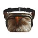 thumbnail image 1 of Balery Funny Bald Eagle Mochila Cinturón para Mujeres y Hombres, Bolsa de Cintura Impermeable de Doble Capa con Correa, 1 of 9
