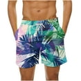 thumbnail image 1 of Birdeem Mens Summer Loose Beach Shorts Pocket Swimming Pants, 1 of 12