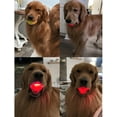 thumbnail image 3 of Shaky Ball Toy for Dogs, Viral Shaky Dog Ball, Shaking Dog Toy, 2025 New Automatic Moving Interactive Dog Toy Ball, Vibrating Dog Ball, with LED Light, Its Like a Brain Massage, 3 of 9