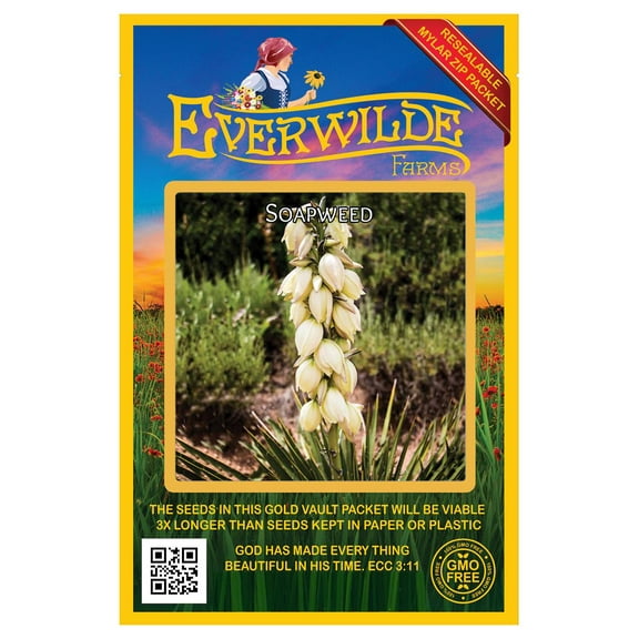 Everwilde Farms - 50 Soapweed Native Wildflower Seeds - Gold Vault Jumbo Bulk Seed Packet