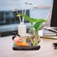 thumbnail image 5 of Florero Macarena Hydroponics jarrón hidropónico con soporte de resina, 5 of 7