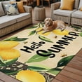 thumbnail image 2 of Fsddascl Hello Summer Outdoor Rug for Patio/Deck/Porch, Non-Slip Large Area Rug 5 x 8 Ft, Lemon Green Botanical Watercolor Indoor Outdoor Rugs Washable Area Rugs, Reversible Camping Rug Carpet, 2 of 5