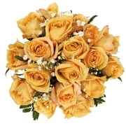 Pale Golden Orange Roses