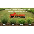 thumbnail image 4 of Plaque Attack Pet Dental Spray,  naturally help all pets teeth and breath, 4 of 8