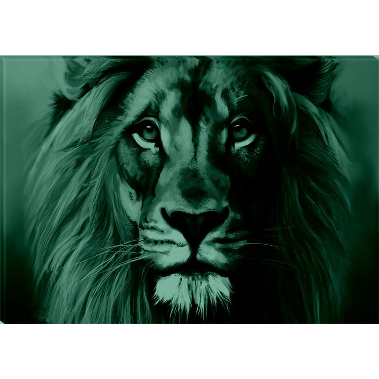 Startonight Canvas Wall Art Black and White Abstract Lion Serenity Animal  Ruler, Dual View Surprise Artwork Modern Framed Ready to Hang Wall Art 100% 