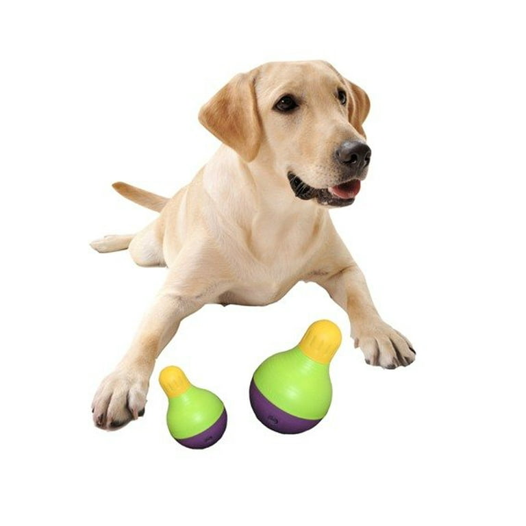 Bob-a-Lot Treat Dispensing Dog Toy – Lake Dog and their people