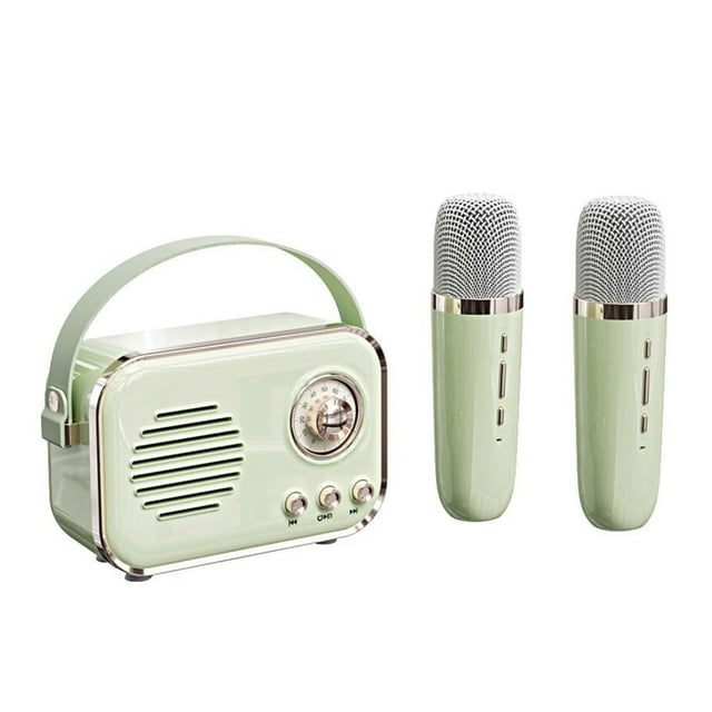yeacher Haut-Parleur Bluetooth Portable Vintage avec Microphone de Karaoké, Mini Caisson de Basses, Prise en Charge Double Micro, Vert Pâle, Lecteur de Musique Extérieur Sans Fil, Qualité Sonore Hi-Fi, Longue Autonomie de Batterie, Idéal pour
