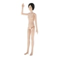 thumbnail image 2 of Cuerpo de Vinilo Desnudo de Muñeca Articulada Perfecl con Piezas de Peluca y Accesorio para Ojos 3D Negro, 2 of 8