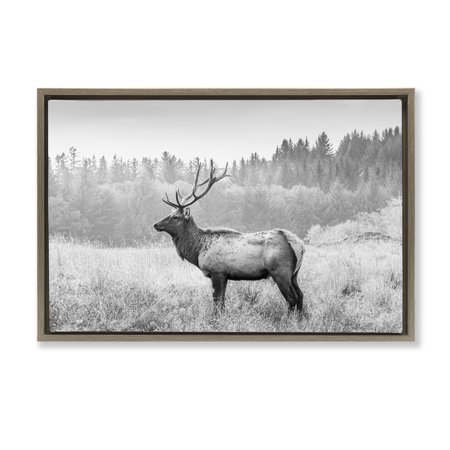 Stupell Industries Stoic American Elk Landscape & Nature Photography Brown Floater Framed Canvas Art Print Wall Art 25 x 17