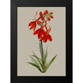 thumbnail image 2 of Vision Studio 14x18 Black Modern Framed Museum Art Print Titled - Botanical Array VII, 2 of 5
