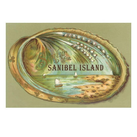Souvenir from Sanibel Island Print Wall Art