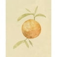 thumbnail image 3 of Caroline, Emma 20x24 Black Modern Framed Museum Art Print Titled - Dappled Oranges III, 3 of 5