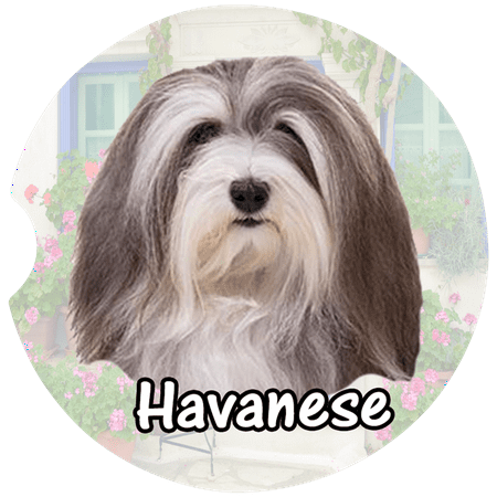 

Havanese Car Coaster Absorbent Stoneware Car Cup Holder Coaster Set of 2