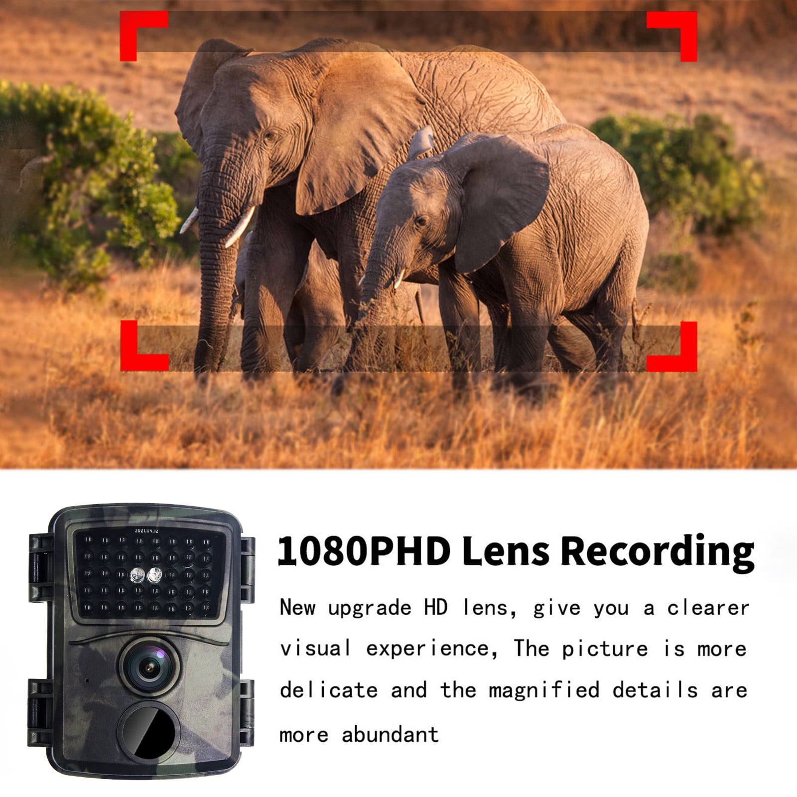 Trail&Game Camera Wildlife Hunting Cam 20MP Image 1080P/720P Video with Invisible Night Vision IP56 Waterproof and Password Protected, for Hunting Outdoor Researching Watching