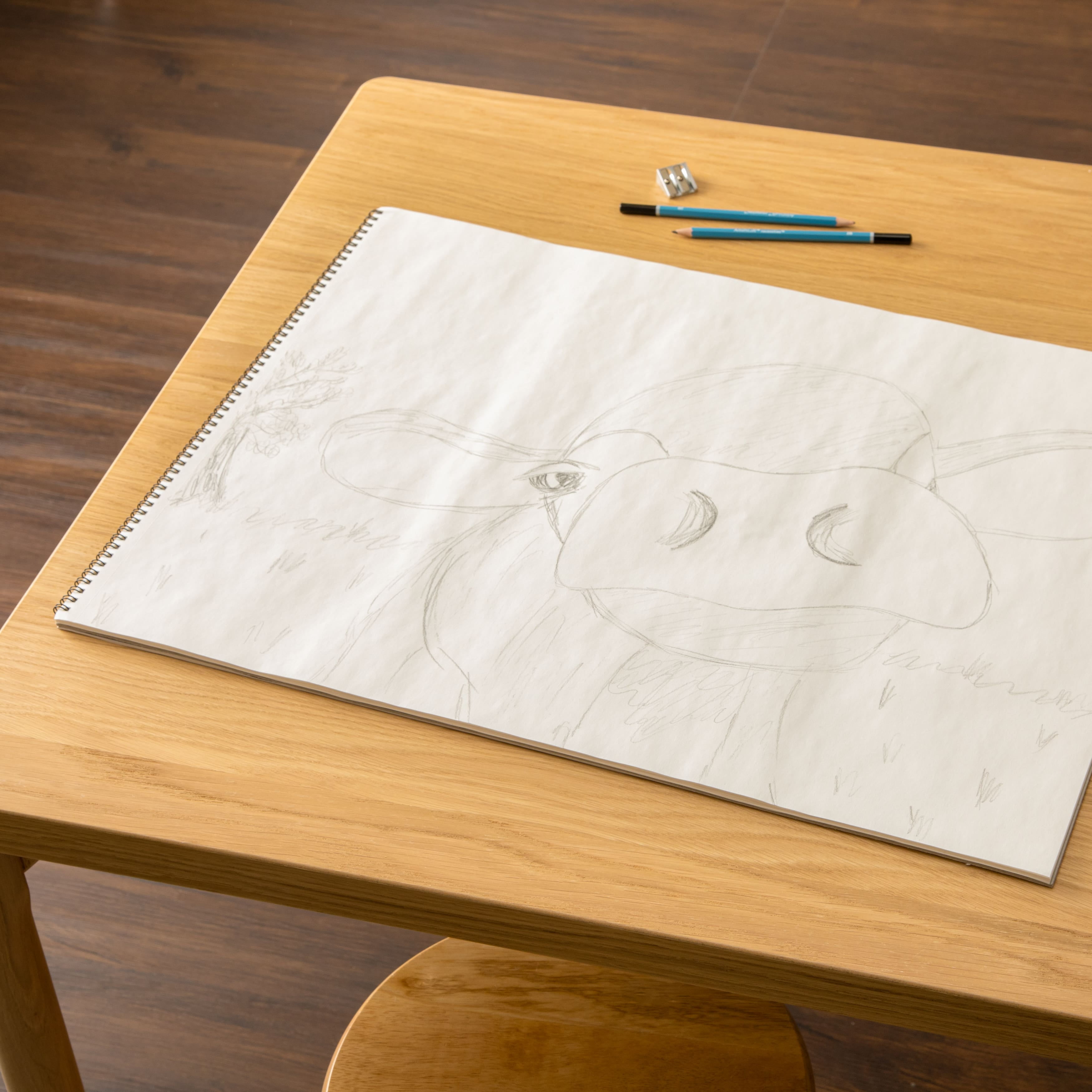 Artist's Loft Sketch Pad, 18" x 24", 6 Pack