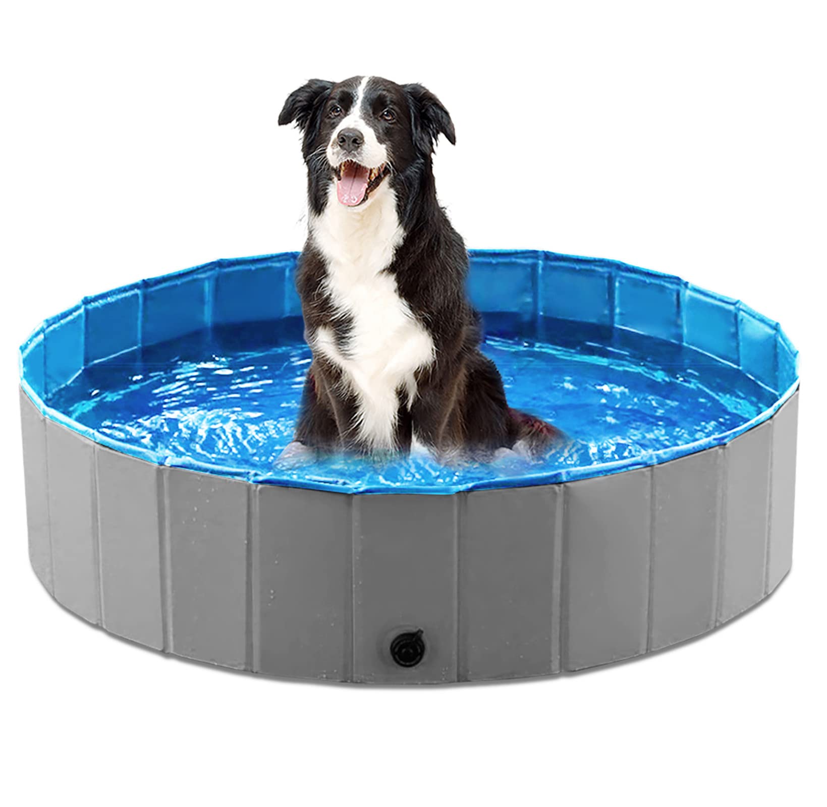 collapsible dog bath