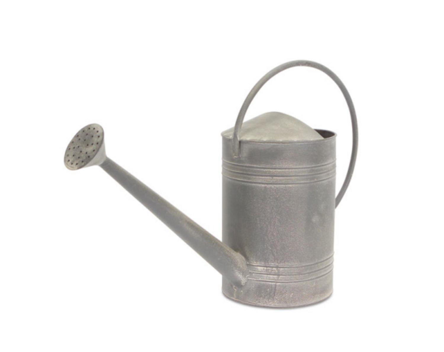 Set of 2 Silver Metal Watering Cans 14"